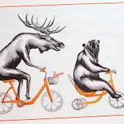 Team Page: Moosebear Bikers